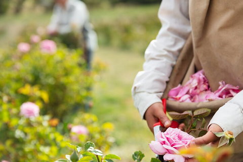 3 Days Adelaide Hills Wellness Escape - Accommodation Sunshine Coast 3