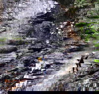 Full-Day Canyoning Experience at Stunning Empress Canyon - Accommodation Sunshine Coast