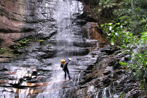 Full-Day Canyoning Experience At Stunning Empress Canyon - Accommodation Sunshine Coast 0