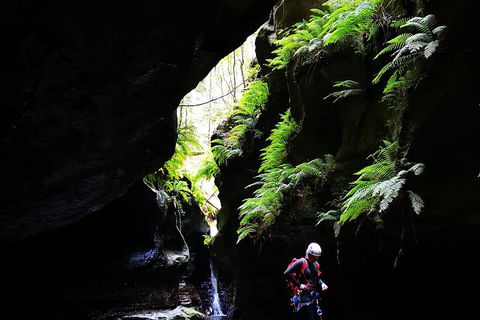 Full-Day Canyoning Experience At Stunning Empress Canyon - Accommodation Sunshine Coast 2