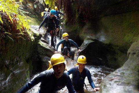 Full-Day Canyoning Experience At Stunning Empress Canyon - Accommodation Sunshine Coast 5