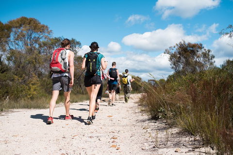 Pittwater Discovery Kayaking Tour - Accommodation Sunshine Coast 0