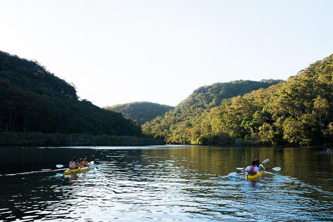 Pittwater Discovery Kayaking Tour - Accommodation Sunshine Coast 1