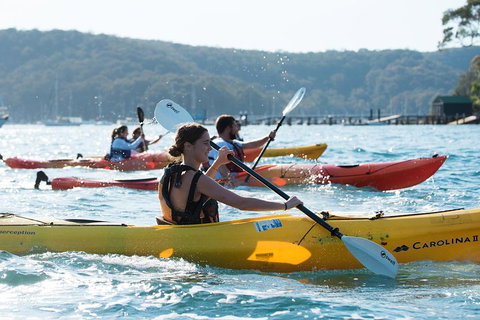 Pittwater Discovery Kayaking Tour - Accommodation Sunshine Coast 2