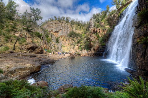 Melbourne To Adelaide South East Coast 3 Day Overland Tour - Accommodation Sunshine Coast 4