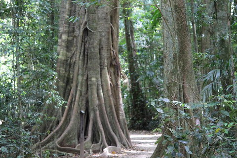 Noosa And Sunshine Coast Hinterland Day Trip From Brisbane - Accommodation Sunshine Coast 3