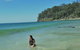 Noosa And Sunshine Coast Hinterland Day Trip From Brisbane - thumb 4