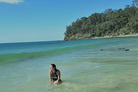 Noosa And Sunshine Coast Hinterland Day Trip From Brisbane - Accommodation Sunshine Coast 4