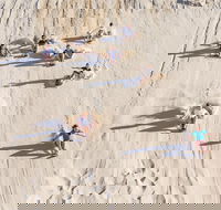 Unlimited Sandboarding - Accommodation Sunshine Coast