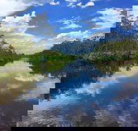 Noosa Everglades Serenity Cruise  Highlights Tour Inc. Lunch  Cruise - Accommodation Sunshine Coast