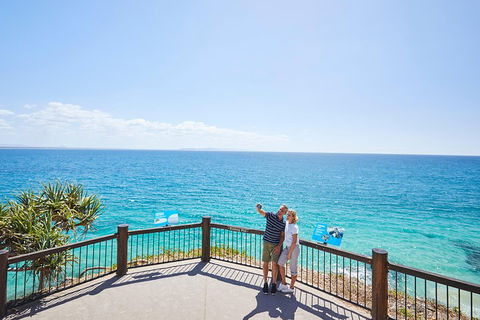 Noosa Everglades Serenity Cruise & Highlights Tour Inc. Lunch & Cruise - Accommodation Sunshine Coast 3