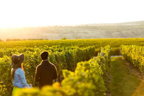 Margaret River Private Tour - Accommodation Sunshine Coast 2