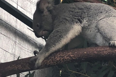 Perth Hills - Wildlife, Art & Gastronomy - Accommodation Sunshine Coast 3
