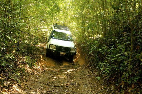 Barron Gorge And Kuranda National Park Half Day Rainforest And Waterfall 4WD Tour From Cairns - Accommodation Sunshine Coast 2