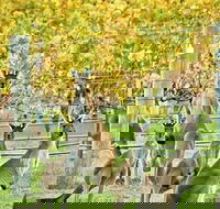 Margaret River Indulge and Discover Day Tour - Accommodation Sunshine Coast