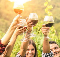 Adelaide Hills Day Tour. Winery Cellar Doors - Accommodation Sunshine Coast