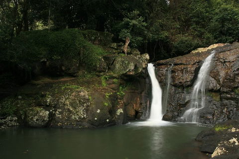 Hinterland Magic & Glow-worm Experience - Accommodation Sunshine Coast 2