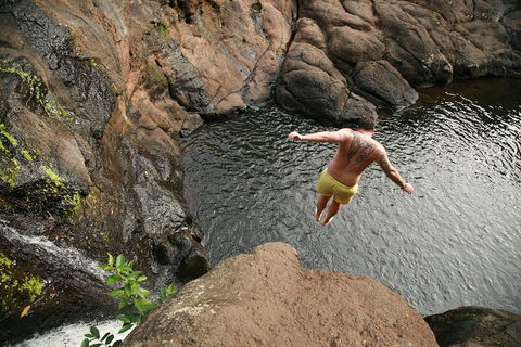 Hinterland Magic & Glow-worm Experience - Accommodation Sunshine Coast 3