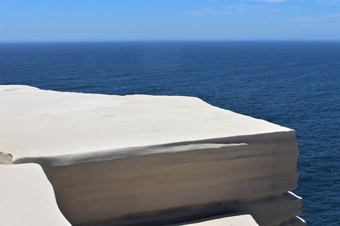 Royal National Park Tour - Accommodation Sunshine Coast 0