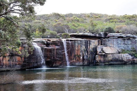 Royal National Park Tour - Accommodation Sunshine Coast 1