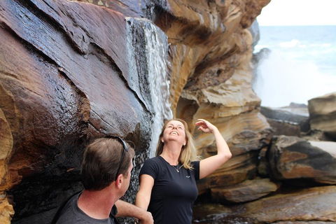 Royal National Park Tour - Accommodation Sunshine Coast 4