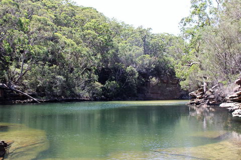 Royal National Park Tour - Accommodation Sunshine Coast 5