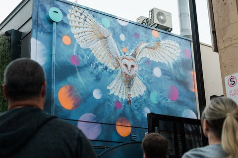 Jimmy C Street Art Walking Tour - Accommodation Sunshine Coast 1