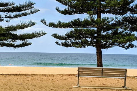 Manly & Sydney's Northern Beaches With 'Personalised Sydney Tours' - Accommodation Sunshine Coast 0