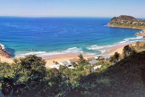 Manly & Sydney's Northern Beaches With 'Personalised Sydney Tours' - Accommodation Sunshine Coast 2