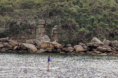 Manly & Sydney's Northern Beaches With 'Personalised Sydney Tours' - Accommodation Sunshine Coast 3