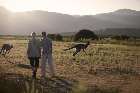 Overnight Daylesford And Macedon Ranges Gourmet Food Trail Tour From Melbourne - Accommodation Sunshine Coast 1