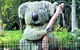 Discover Sydney - Botanic - thumb 1