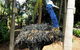 Discover Sydney - Botanic - thumb 5
