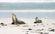 Kangaroo Island Personal Group Tours - thumb 3