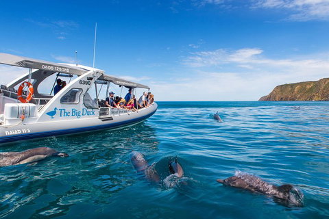 Victor Harbor And McLaren Vale Wine Region Day Tour - Accommodation Sunshine Coast 1
