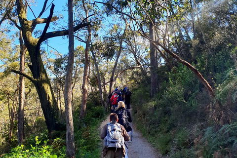 Self-Guided Waterfall Gully To Mount Lofty Hike From Adelaide - Accommodation Sunshine Coast 1