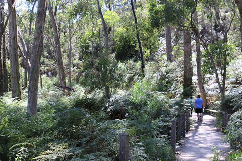 Self-Guided Waterfall Gully To Mount Lofty Hike From Adelaide - Accommodation Sunshine Coast 2