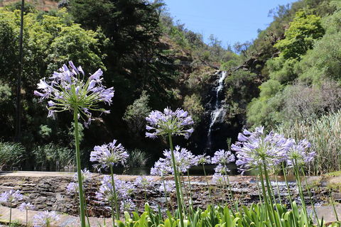 Self-Guided Waterfall Gully To Mount Lofty Hike From Adelaide - Accommodation Sunshine Coast 3
