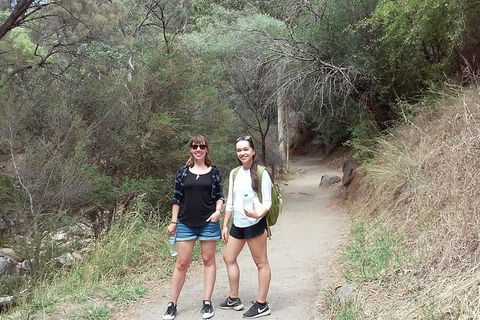 Self-Guided Waterfall Gully To Mount Lofty Hike From Adelaide - Accommodation Sunshine Coast 4