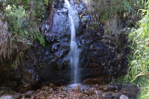 Self-Guided Waterfall Gully To Mount Lofty Hike From Adelaide - Accommodation Sunshine Coast 5