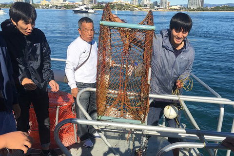 Crab Trip From Gold Coast - Accommodation Sunshine Coast 1