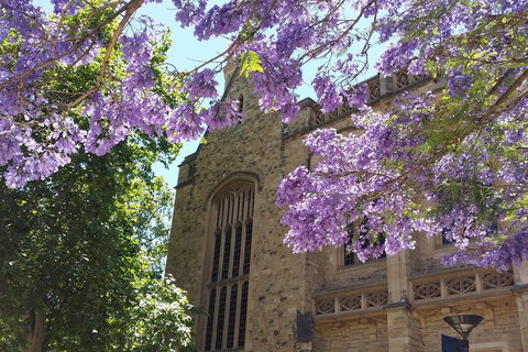 Cultural Caper Adelaide Walking Tour - Accommodation Sunshine Coast 1