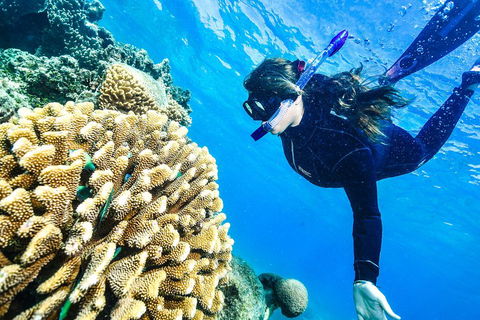 Green Island Day Trip From Cairns - Accommodation Sunshine Coast 1