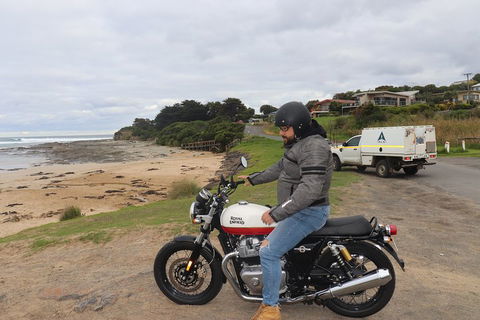 Royal Enfield Interceptor 650cc - Accommodation Sunshine Coast 3