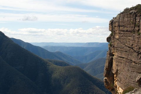 Inside The Greater Blue Mountains World Heritage - A Wildlife Safari Overnight - Accommodation Sunshine Coast 4