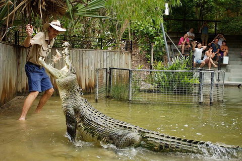 Hartley's Crocodile Adventure Half-Day Tour - Accommodation Sunshine Coast 2