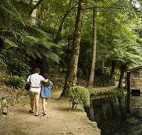 Discover Tour Dandenong Ranges  William Ricketts Sanctuary