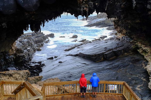 Full-Day Kangaroo Island Safari From Penneshaw - Accommodation Sunshine Coast 1