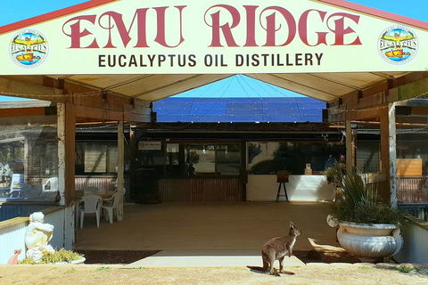 Full-Day Kangaroo Island Safari From Penneshaw - Accommodation Sunshine Coast 2