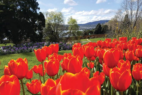 Hobart Half-Day Sightseeing Coach Tram Tour - Accommodation Sunshine Coast 4